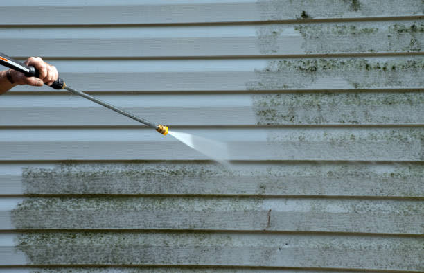 Best Fence Cleaning  in Patrick Af, FL